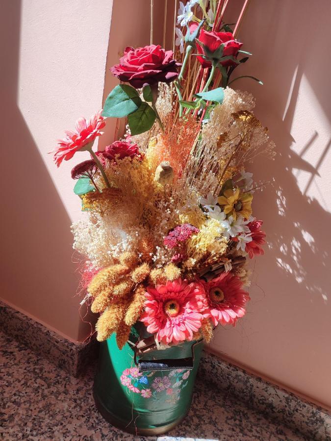 Apartamentos Casa Modesto Escalona エクステリア 写真